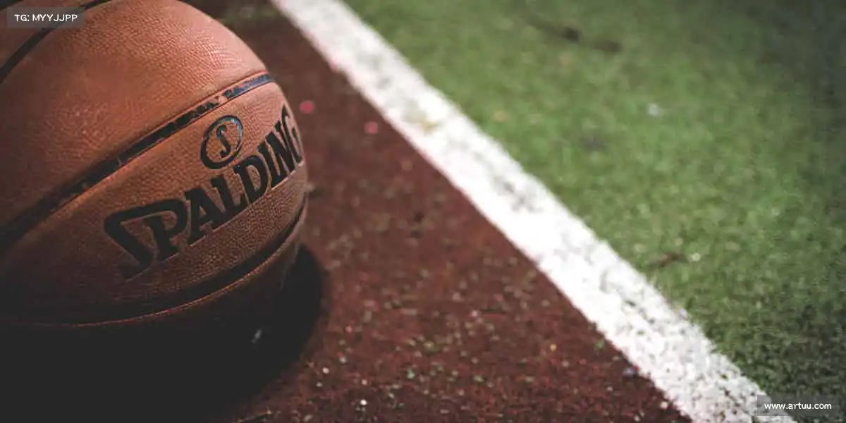 为什么选择我们